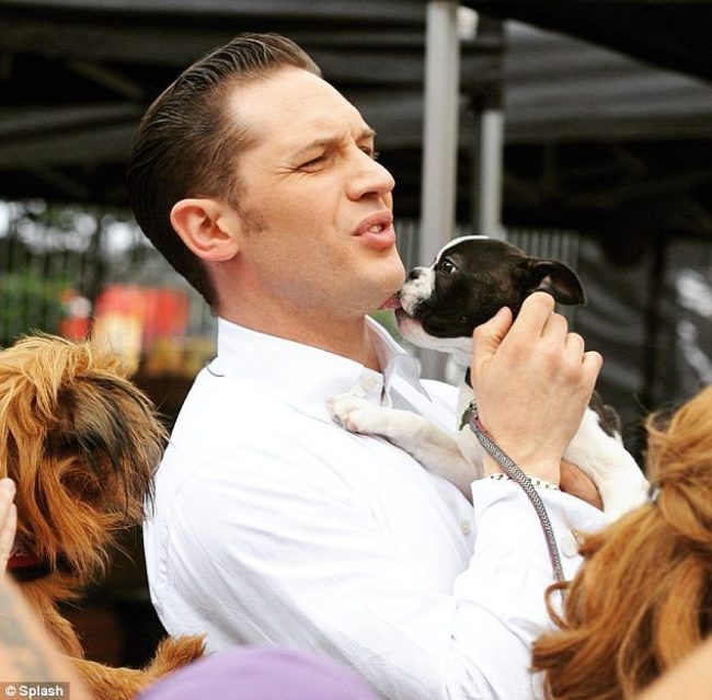 The Tom Hardy Dapper Hairstyle