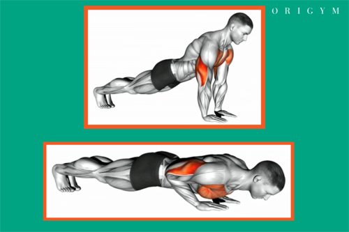 starting and finishing position for diamond push up