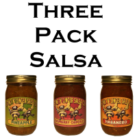 Three Jars of Salsa - Sting N Linger Salsa Co.
